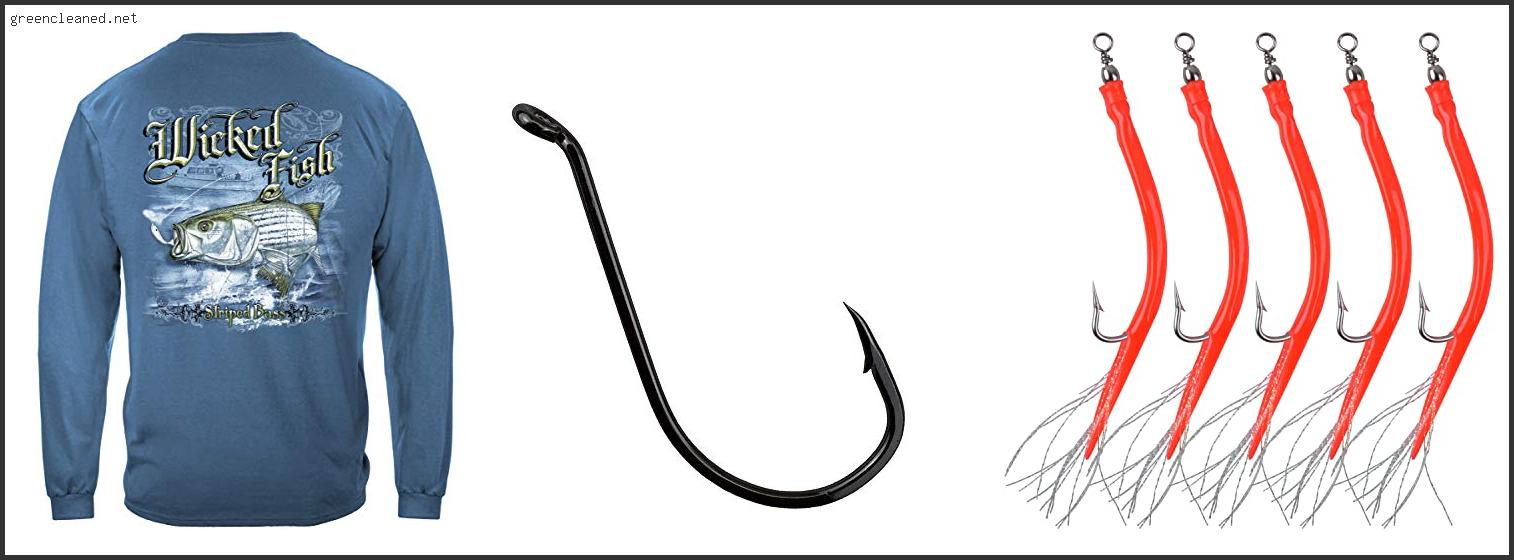 Which Is The Best Fishing Hooks For Striped Bass Review In 2022