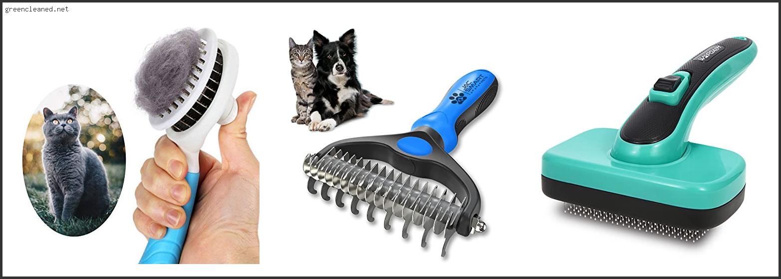 Best Brushes For Long Haired Cats