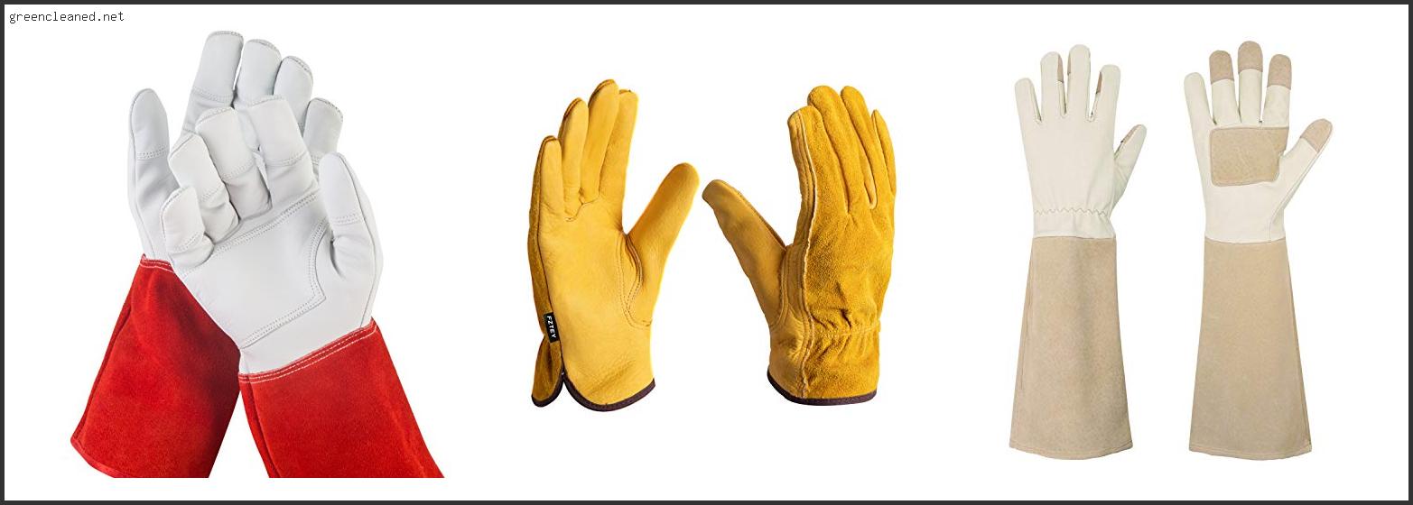 Best Gloves For Thorns