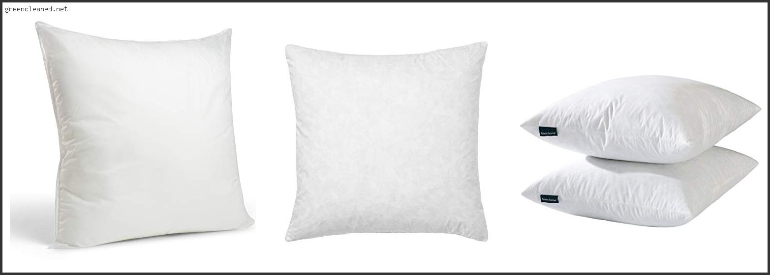 Best Euro Pillows