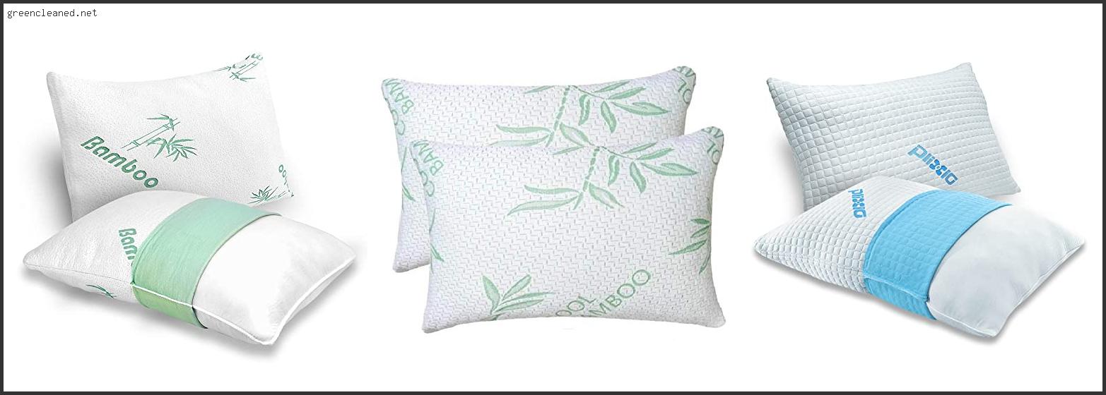 Best Bamboo Memory Foam Pillow