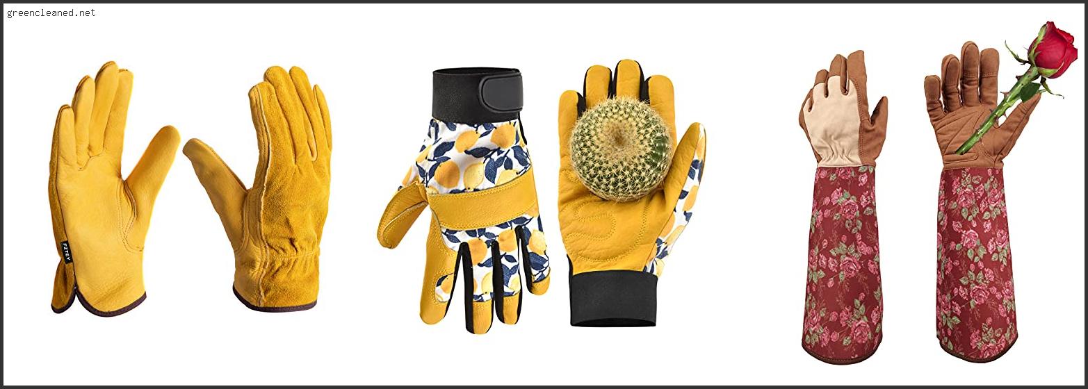 Best Garden Gloves For Thorns