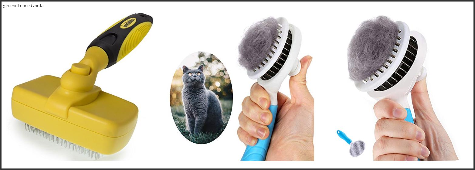 Best Brushes For Ragdoll Cats