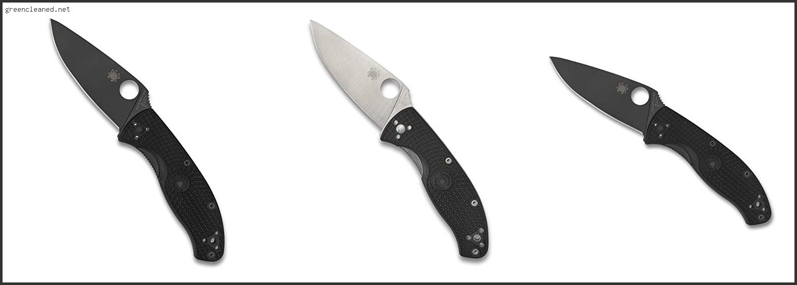 Best Budget Spyderco Knife