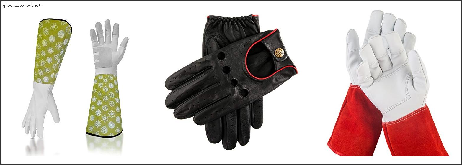 Best Gloves For Blackberries