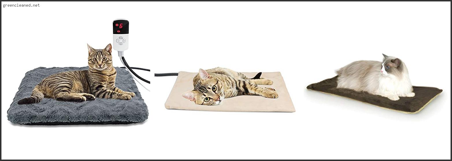 Top 10 Best Cat Heating Pad – Available On Market