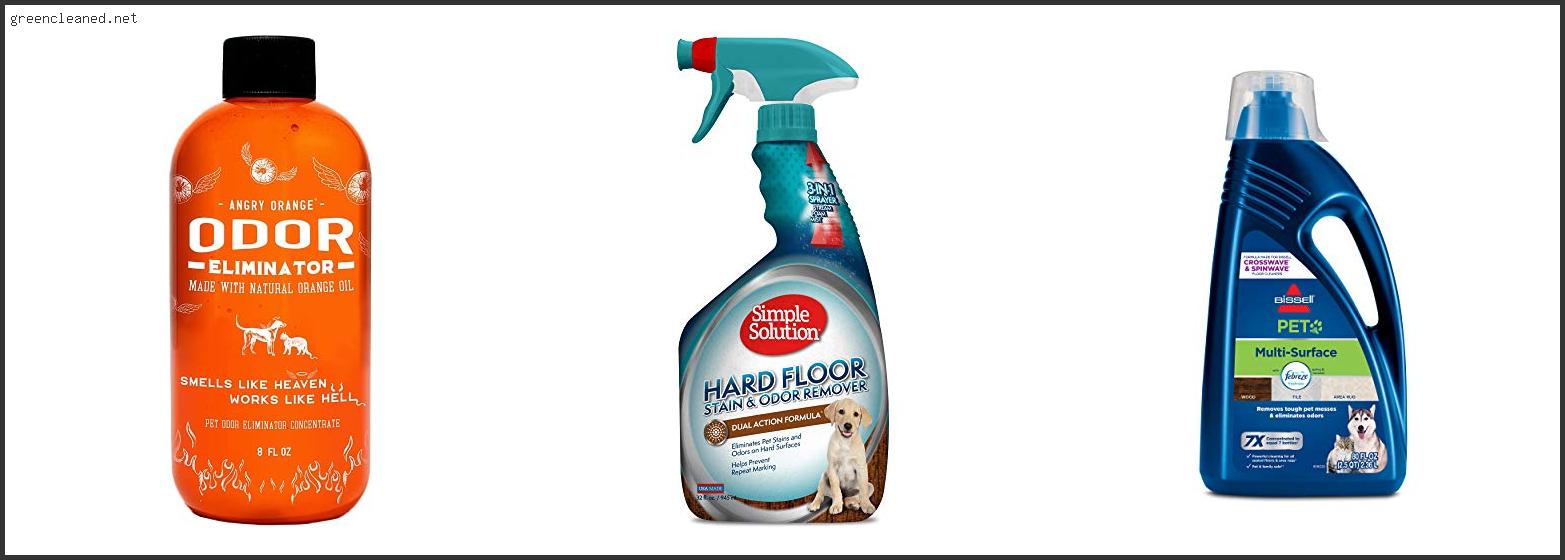 Best Mopping Solution For Pet Urine