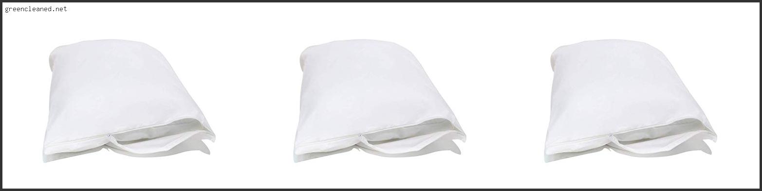 Best Pillow For Allergies