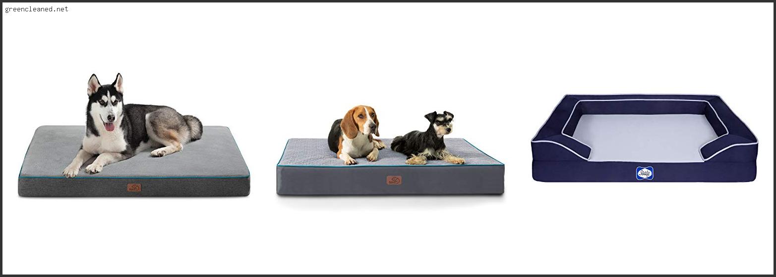 Top 10 Best Cooling Orthopedic Dog Bed – To Buy Online