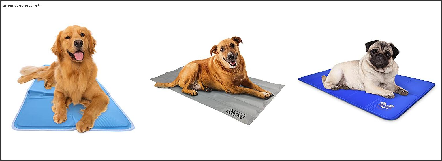 Top 10 Best Cooling Dog Mat – To Buy Online