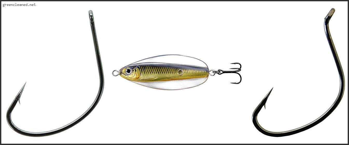 Best Hook For Live Shiners