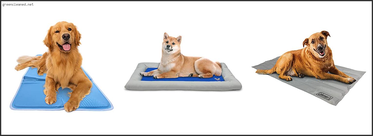 Top 10 Best Dog Cooling Mats Reviews With Products List