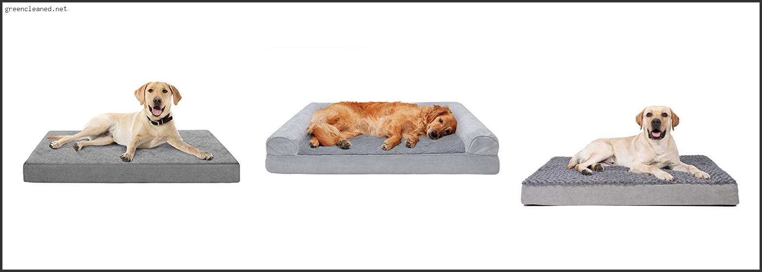 Top 10 Best Cooling Dog Beds In [2022]