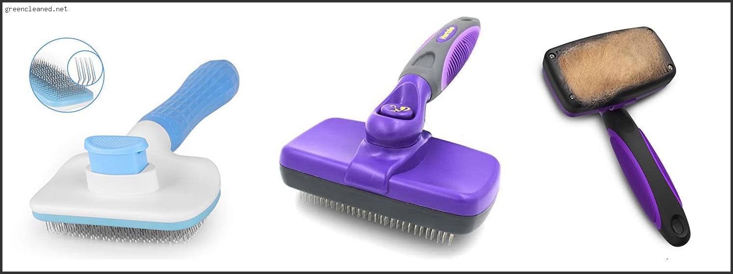 Which Is The Best Cat Brushes Review In 2022