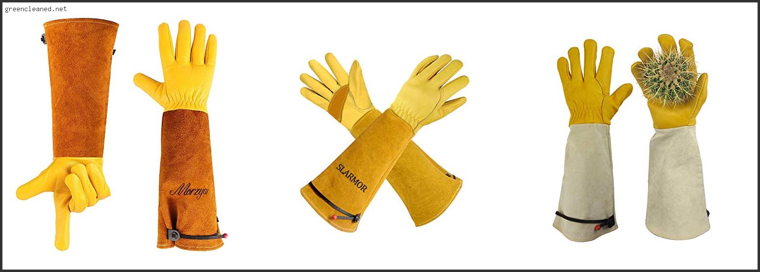 Which Is The Best Gloves For Pruning Roses Review In 2022