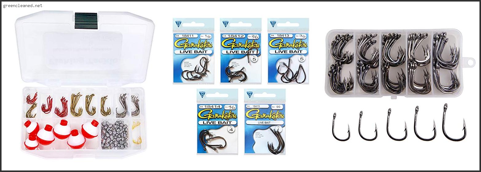 Best Fishing Hooks For Live Worms