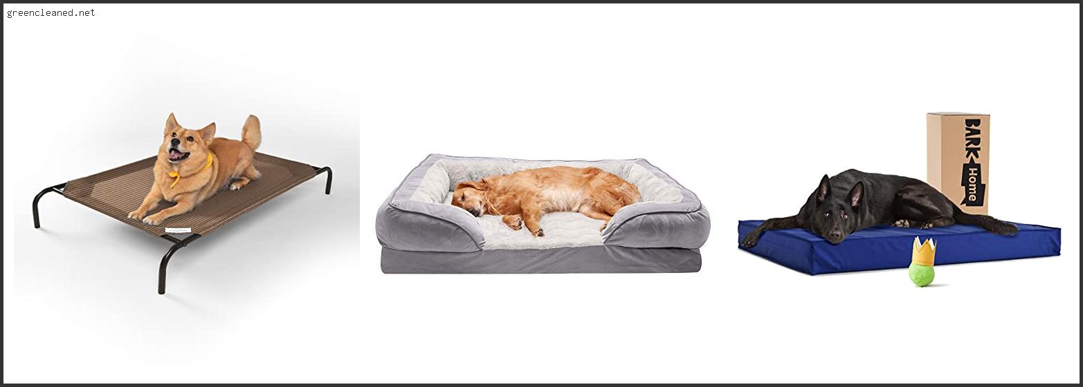 Best Cooling Dog Bed