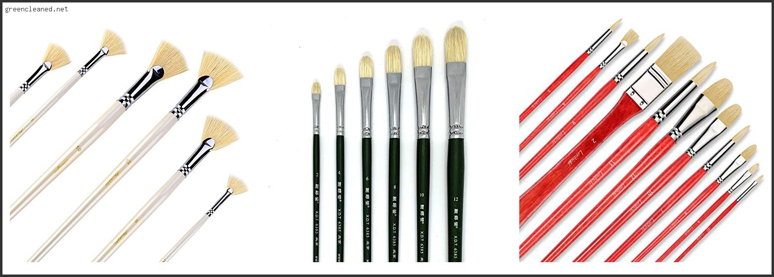 Best Hog Bristle Brushes For Oil Painting