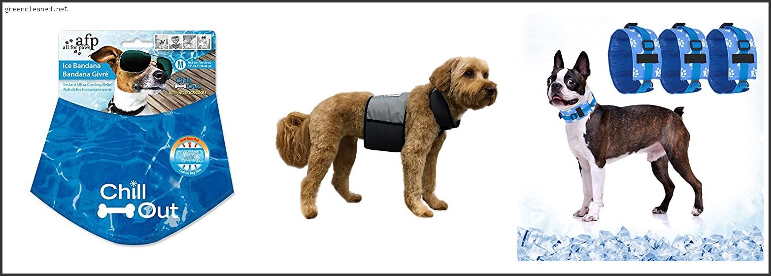 Best Cooling Dog Collar