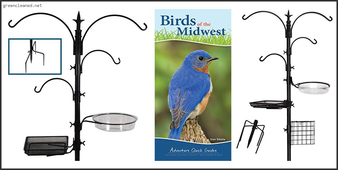 Which Is The Best Choice Bird Feeding Station Review In 2022