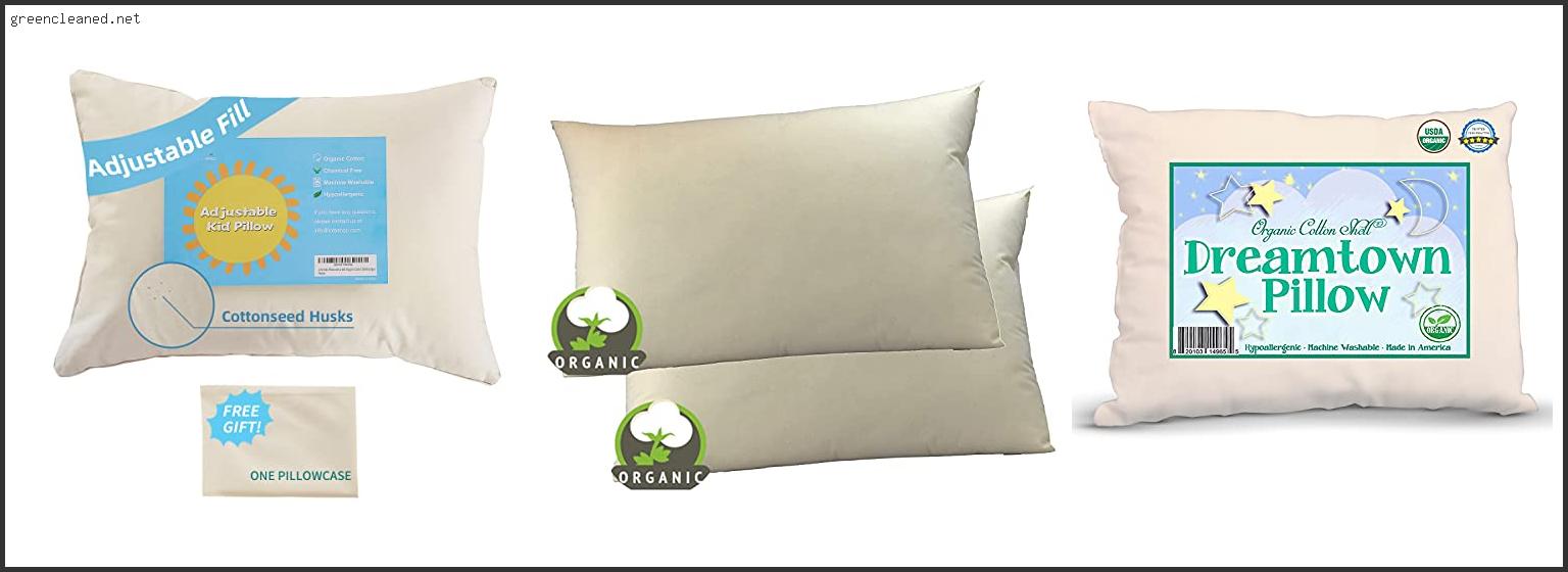 Best Organic Pillows