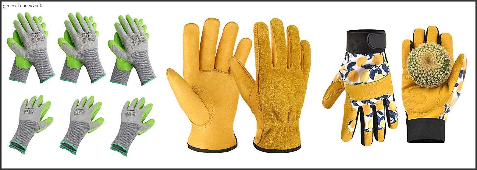 Best Gloves For Gardening